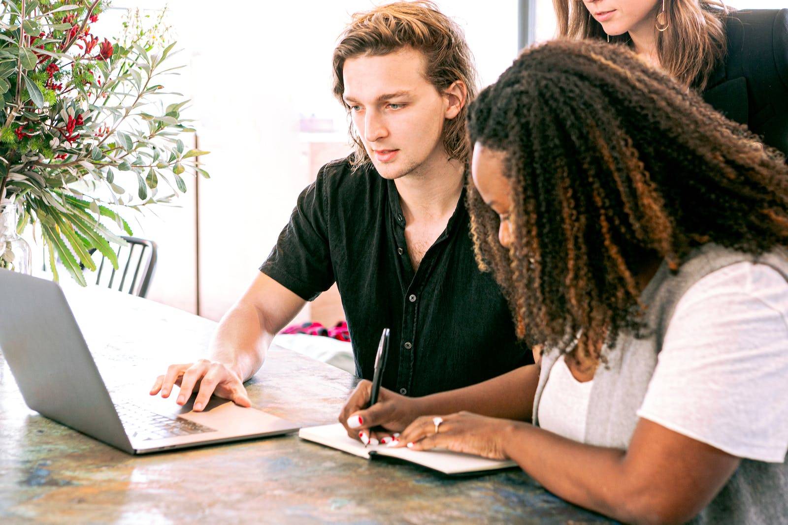 Expert-Comptable à Marseille : Stratégies de Développement Local