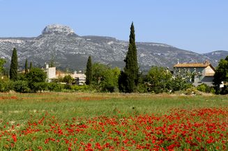 Création d'entreprise Aubagne par un Expert comptable