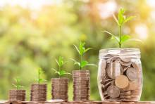 Expert-comptable pour la distribution des dividendes à Marseille
