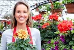 Aide du franchiseur au franchisé dans la réalisation d'une étude de marché. Marseille